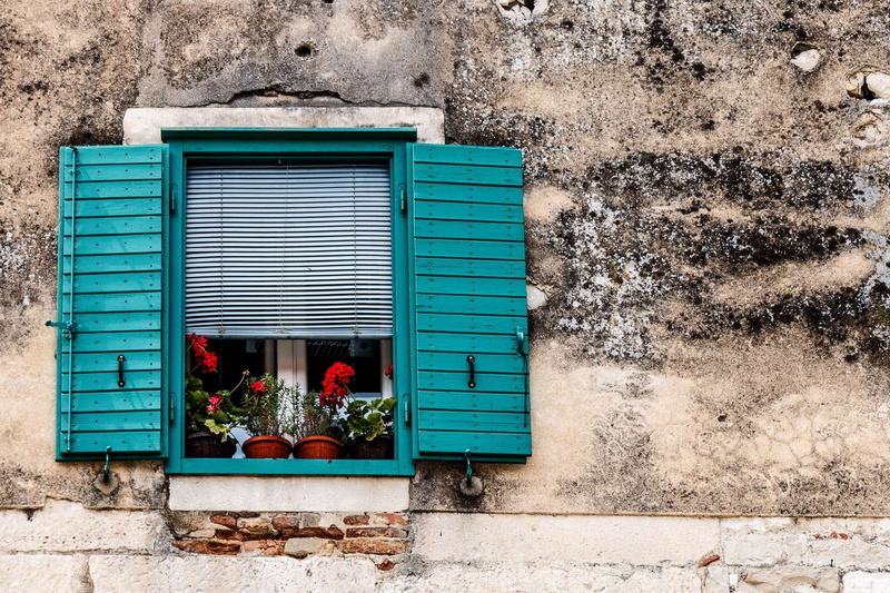 open, windows, croatia, architecture, cruise, day, potted plant, window box, building, split, vacation, town, worn, nature, shutter, wood - material, yellow