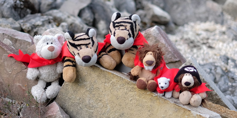 animal themes, animal, teddy bear, focus on foreground, capes, high angle view, basel, animal representation, polar bears, rock, nature, tigers, toy, day