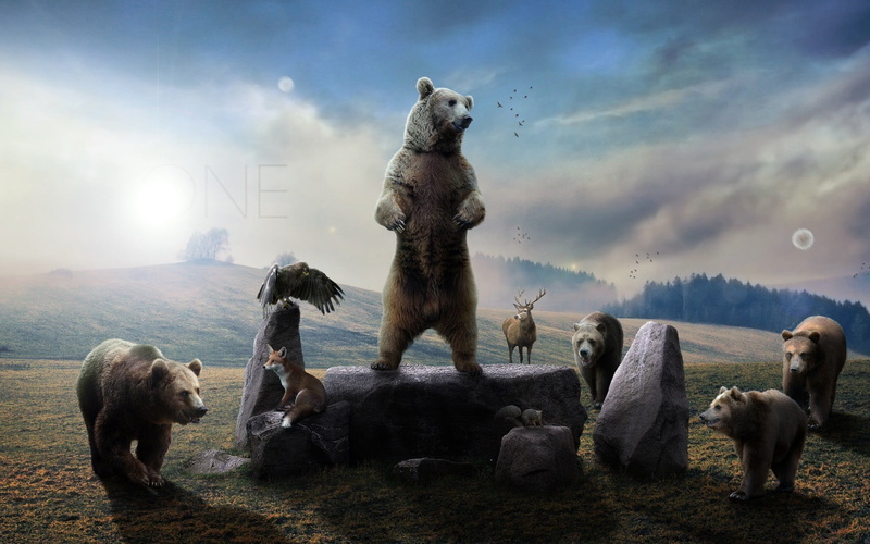 gray, outdoors, bear, animal themes, animals, bears, stone, vertebrate, animal family, nature, beauty in nature, animal, digital art, standing, sunlight