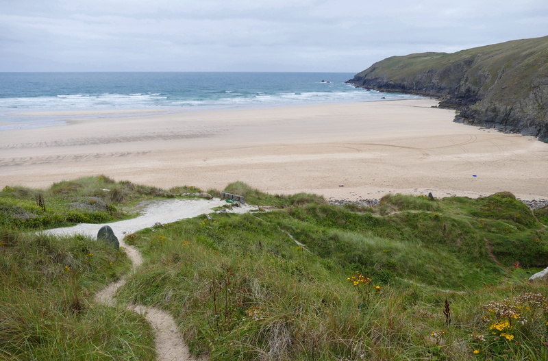 country, happy holidays, newquay, coastal, outdoors, marram grass, sand, water, tranquil, day, coastline, nature, no people, blue, vacation, scenics - nature