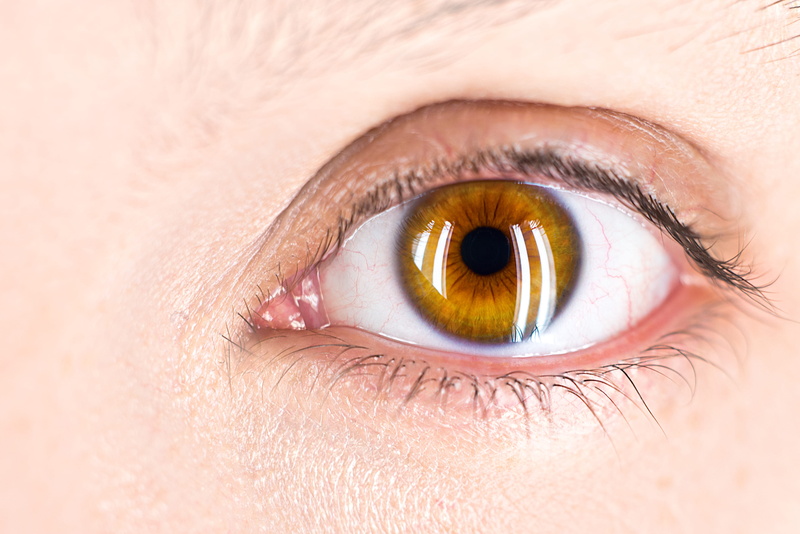 eyesight, iris - eye, eyeball, adult, focus on the eye, body part, close-up, sensory perception, woman, beauty, people, catch light, focus, hazel eyes