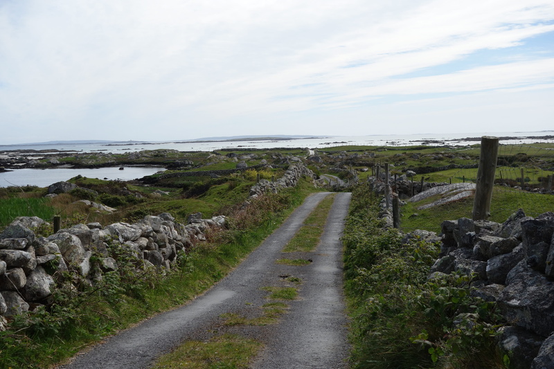 tranquil scene, scenics - nature, outdoors, only, rock - object, bay, water, rock, ireland, connemara, beauty in nature, nature, plant, land, grass, environment