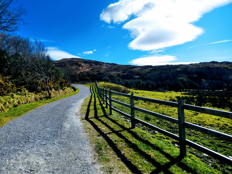 clouds, wooden, tranquil scene, sky, Ireland, green, beauty in nature, cloud - sky, the way forward, rural scene, Away, 4K, near, mountain, plant, tranquility