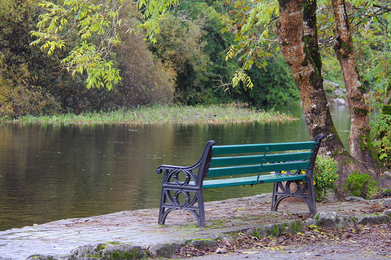 europe, outdoors, beauty in nature, forest, 2K, green color, park - man made space, growth, wood, connemara, galway, tranquility, scenics - nature, wooden