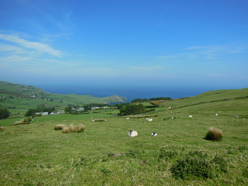 landscape, sky, animal themes, outdoors, travel, land, ireland, grass, sheep, 4K, livestock, domestic animals, tranquility, hill, no people, animal, group of animals