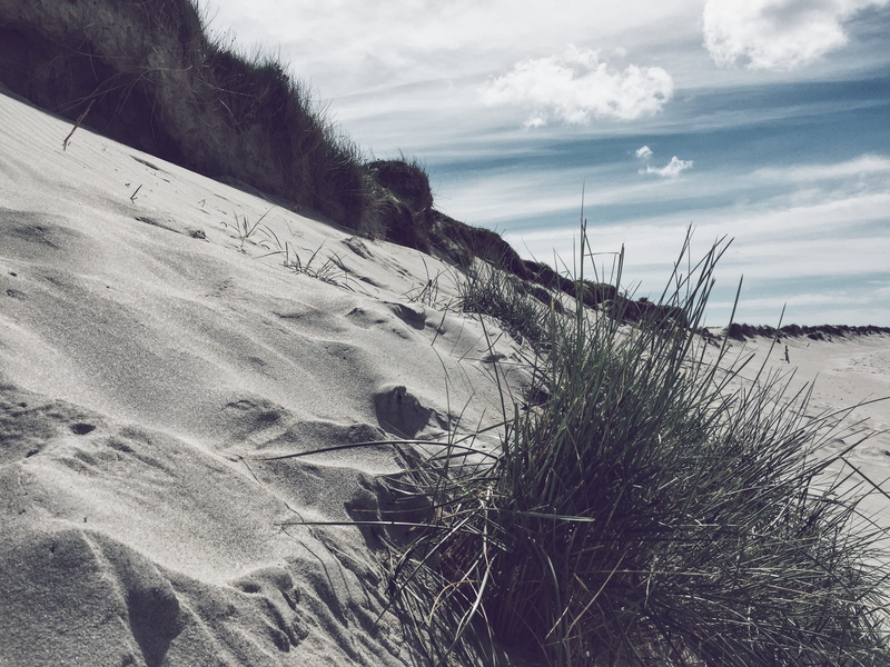 galway, travel, 2K, beauty in nature, water, scenics - nature, sea, plant, beach, sanddune, sun, outdoors, tranquility, sand dune, connemara, cloud - sky