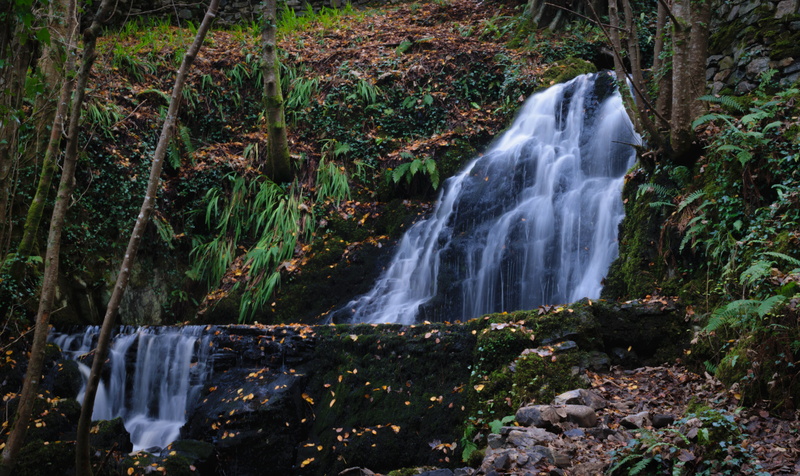 outdoors, 5K, flowing, solid, nature, rainforest, flowing water, no people, connemara national park, greenireland, letterfrack, rock, beauty in nature