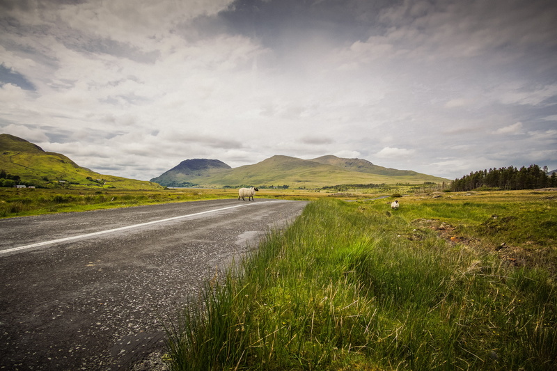 transportation, land, street, beauty in nature, grassland, connemara loop, 5K, mountain, storm, scenics - nature, grass, crossing, no people, mountain range