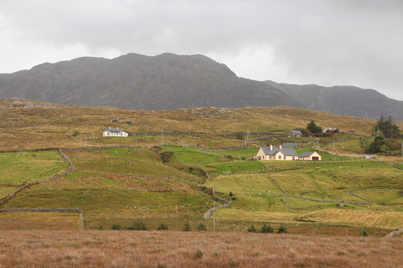 land, nature, travel, irish, mountain, domestic animals, tranquil scene, agriculture, park, mammal, field, plant, isle, environment, emerald, sky, livestock