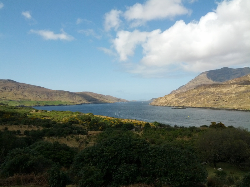 environment, non-urban scene, landscape, day, cloud - sky, tranquil scene, land, beauty in nature, connemara, water, sea, tree, no people, sky, outdoors