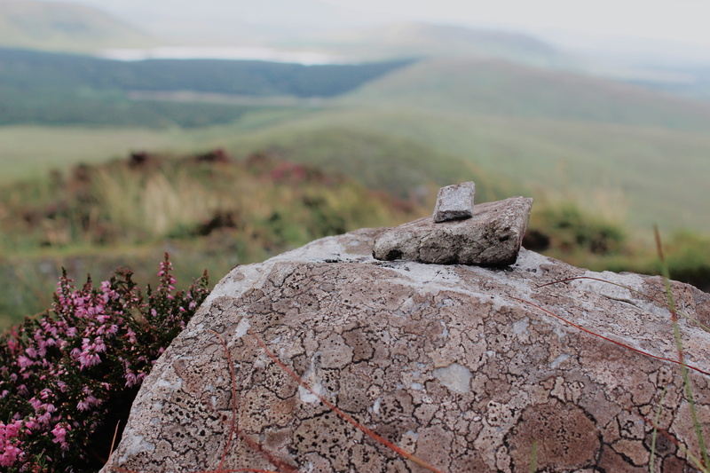 nature, growth, connemara park, rocks, connemara, non-urban scene, land, rock, tranquil scene, heather, rock - object, gray, hill, mountain, mountain peak