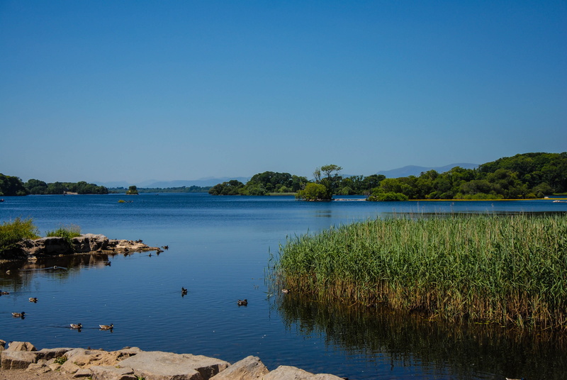 cliff, river, park, clear sky, no people, connemara, beauty in nature, tranquil scene, green, house, water, copy space, day, tranquility, growth, sea, lake