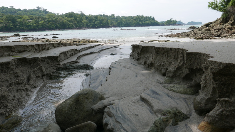 rocky coastline, costa rica, water, rock, tree, environment, rock formation, beauty in nature, 4K, land, landscape, nature, non-urban scene, manuel antonio