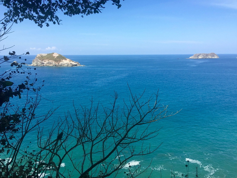 beauty in nature, summer, plant, manuel antonio, tranquility, scenery, outdoors, pacific, island, exotic, coastline, paradise, no people, tree, relax, sky