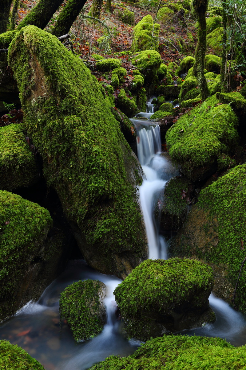 river, trees, forest, water, falls, Polarizing Filter, drought, 5K, Circular, outdoors, stream, nature, landscape, Sonoma County, green, tree, rocks, scenics