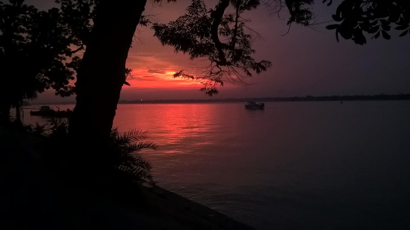 tree, tranquility, tranquil scene, horizon, horizon over water, superb, sea, plant, non-urban scene, 1080P, beauty in nature, coastline, idyllic, outdoors