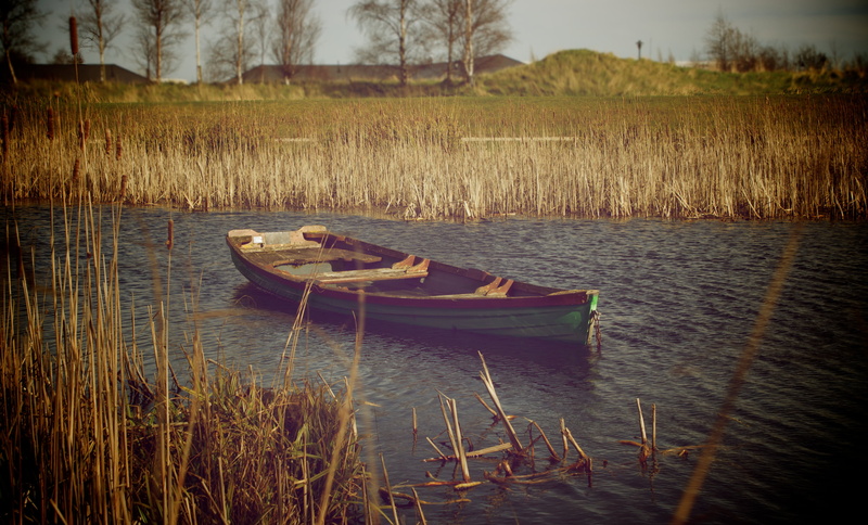 2K, fields, tranquil scene, nature, moored, boat, nautical vessel, tranquility, plant, beauty in nature, transportation, rowboat, sky, anchored, river