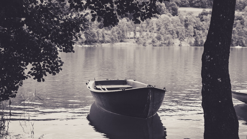 transportation, panorama, idyll, leisure, boat, jon, nautical vessel, day, rest, sailing ships, mood, lake, tree, rowboat, grayscale, moored, no people