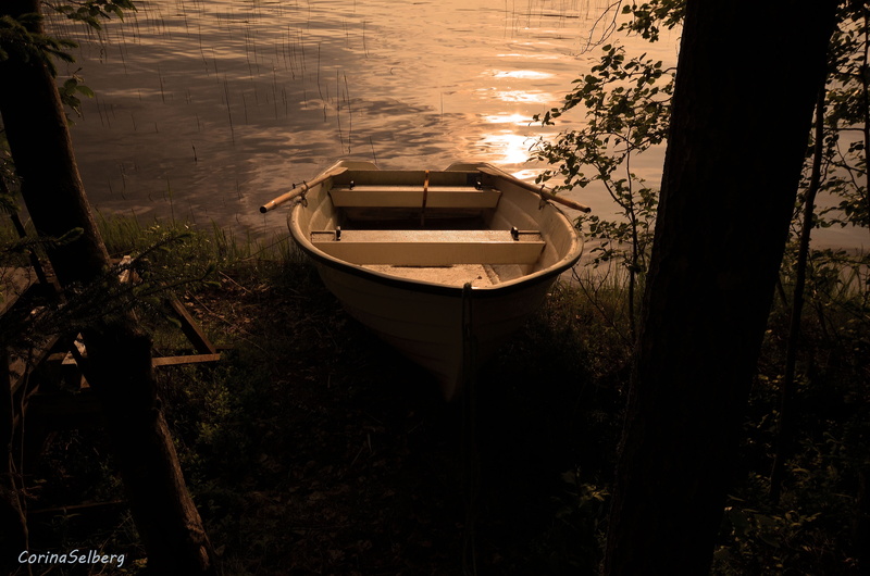 land, transportation, travel, lake, outdoors, high angle view, near, 4K, boat, nature, plant, reflection, brown, rowboat, jon, shore, tranquility, moored