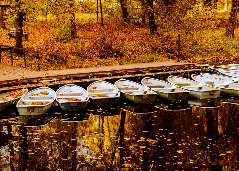 boat, refreshment, land, dock, 2K, food and drink, trees, reflection, outdoors, fall, in a row, wood - material, jon, autumn, outdoor, beside, nature