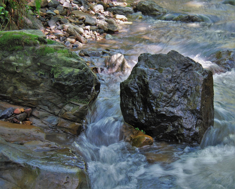 outdoors, sea, steep ravine trail, flowing water, mt. tamalpais, scenics - nature, water, beauty in nature, no people, united states, stinson beach, marin