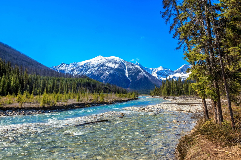 Mountain, Kootenay National Park, Forest, 2K, Canada, River, Earth
