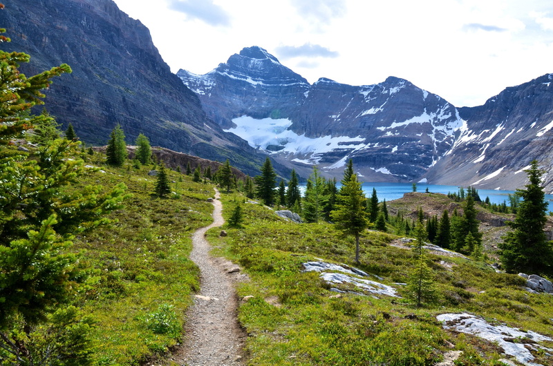 mountains, nature, revelstoke, lake, trail, 2K, canada, fir, mount, park, scenery