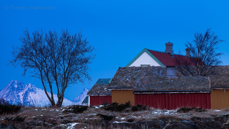 kjerringøy, winter, built structure, cottage, mountain, snow, scenic, north-norway, norway, arctic, snow white, scenics - nature, travel, landscape, house