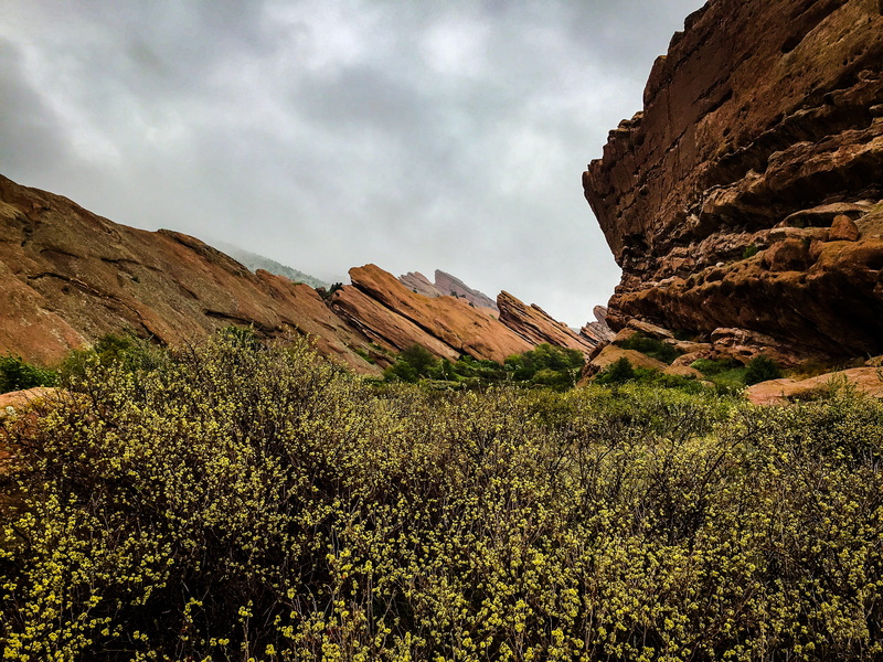 environment, solid, golden, rock, plant, day, sky, rock - object, tranquil scene, nature, outdoors, tranquility, trading post trail, beauty in nature, 2K