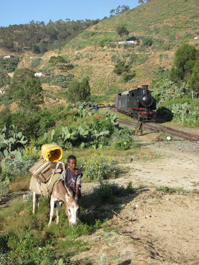 hills, land, plant, Train, domestic animals, mammal, adults only, railroad, outside, plants, travel, country, track, day, mode of transportation, men, lifestyles