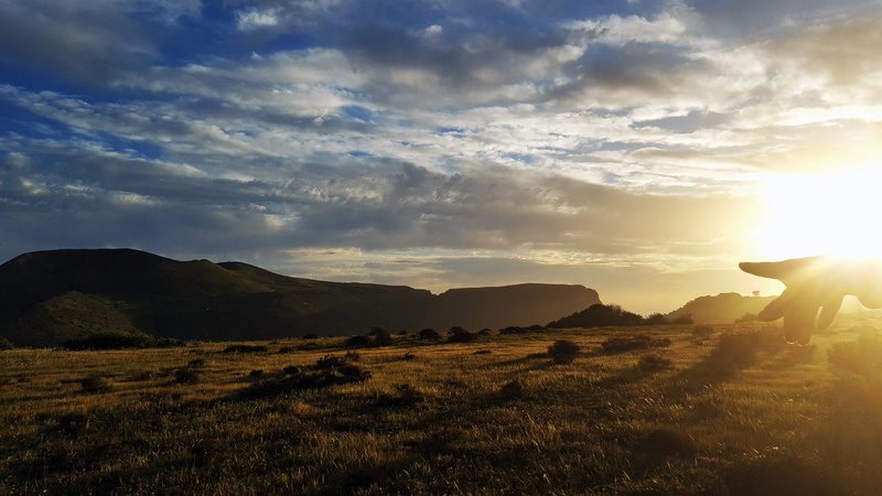 canary islands, light, Nature, autumn, meadow, scenics, day s, cliff, one person, tranquility, no people, sunlight, bright, non-urban scene, sun, green