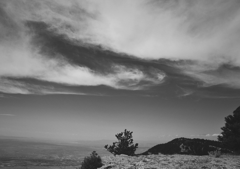 landscape, black and white, sea, idyllic, no people, day, beauty in nature, tree, nature, plant, cloud - sky, scenics - nature, sky, albuquerque, southwest