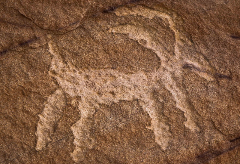 petroglyphs, stone, 1080P, Nevada, antiquity