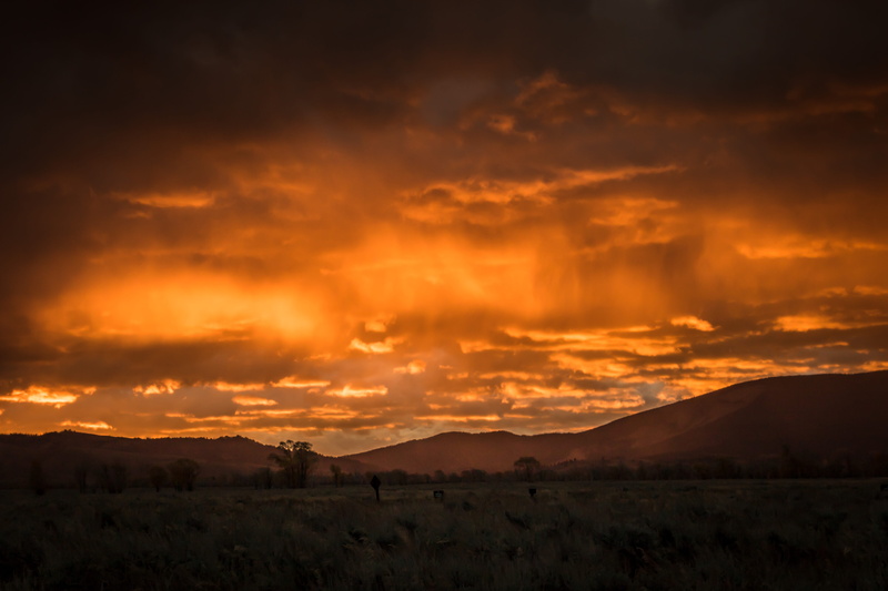 sandia Mountains, yellow, nature, sun, horizon sky, skyline, desert, summer, mountain, dawn, outdoors, sunrise - Dawn, albuquerque - New Mexico, dramatic Sky