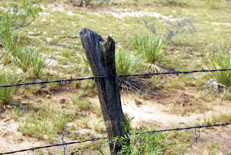fence, barbed wire, focus on foreground, fencing, land, outdoors, boundary, obstacle, 2K, day, wooden post, nm barbed wire fence, field, safety, post