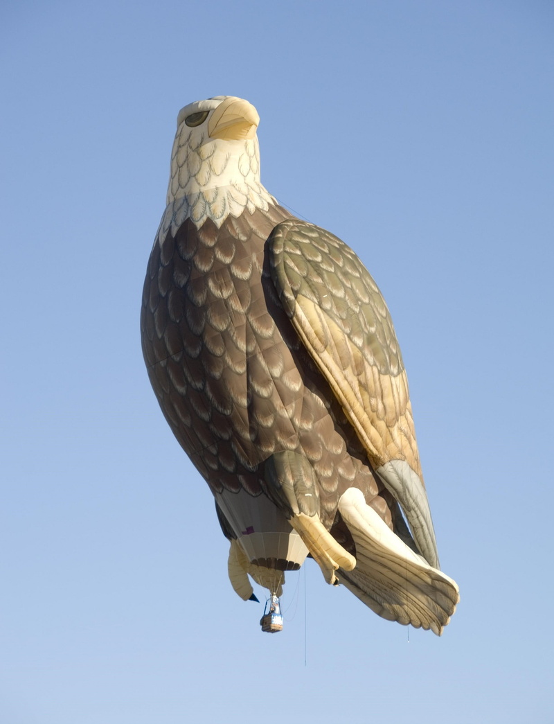 icon, transportation, animal wildlife, floating, close-up, nature, clear sky, usa, vehicle, blue, ride, bird of prey, low angle view, albuquerque balloon fiesta