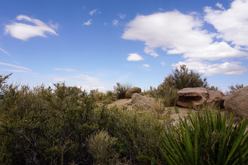 cloud - sky, scenery, clouds, sky, non-urban scene, nature, growth, day, landscape, tranquil scene, plant, remote, trees, outdoors, new mexico, tree, arid climate