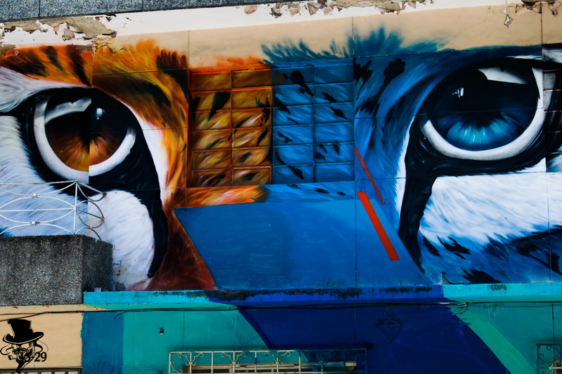 art, tiger, protection, obscured face, unrecognizable person, architecture, cat, real people, mode of transportation, security, medellin, transportation