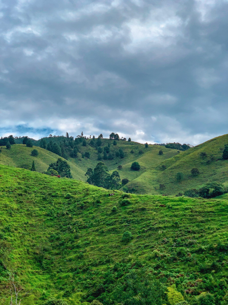 countryside, colombia, tranquil scene, pabloescobar, medellin, grass, day, green color, ireland, nature, tranquility, environment, rural, grassland, outdoors