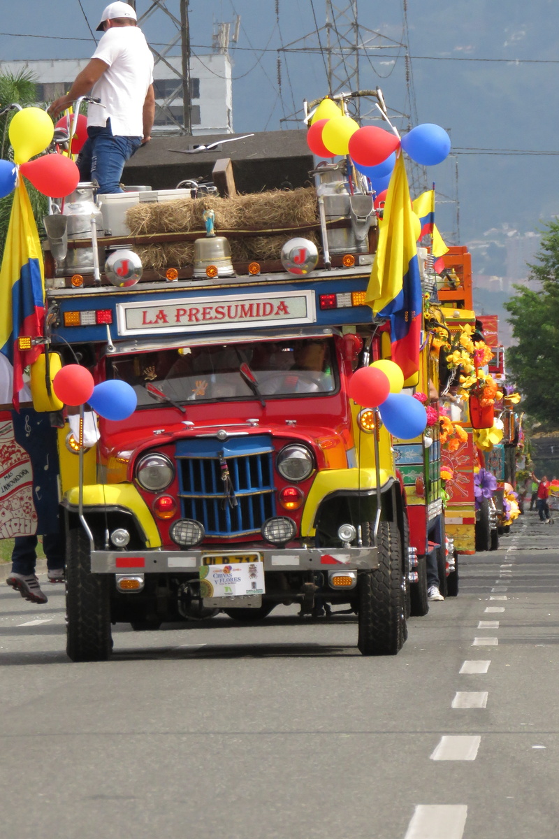 party, transportation, occupation, group of people, color, city, wheel, incidental people, carnival, movement, troupe, makeup, day, road, motor vehicle