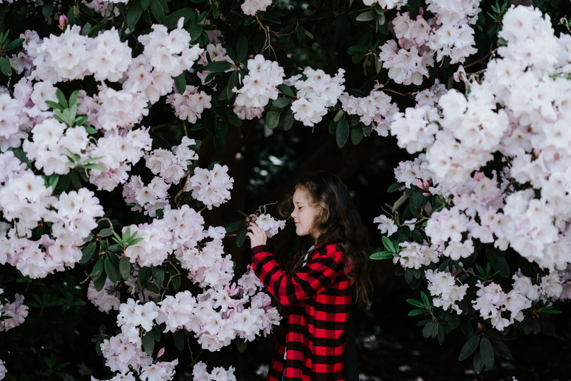 beauty in nature, vulnerability, leisure activity, bloom, freshness, nature, caucasian, plaid, growth, female, flowers, plant, childhood, kid, white, day