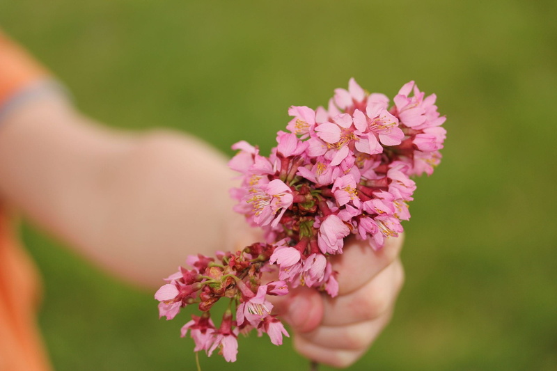 mother, people, petal, 1080P, finger, bunch of flowers, petaled, summer, left, cute, young, flower arrangement, plant, outdoors, fragility, mothers day