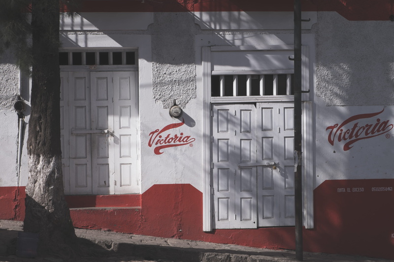 western script, architecture, red, tree shade, no people, text, shop, mexico, window, built structure, city, sign, animal wildlife, street, outdoors, guanajuato