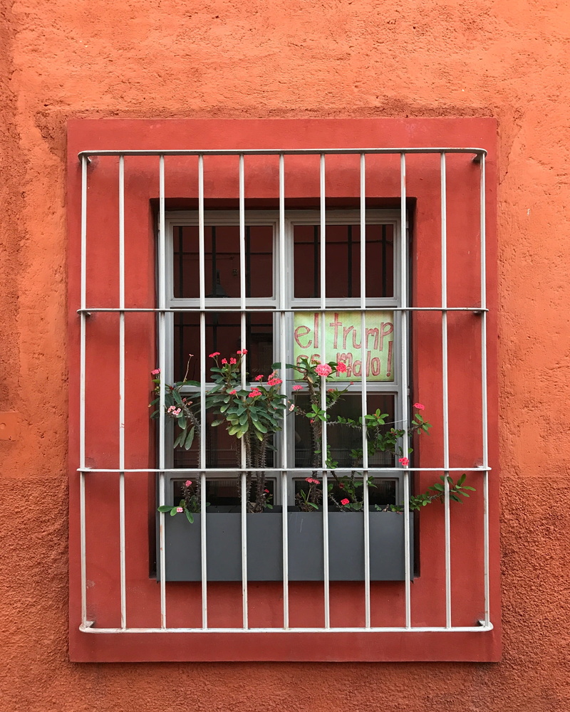 nature, window, potted plant, window frame, flower pot, architecture, trump, built structure, red, no people, wall, window box, guanajuato, day, building