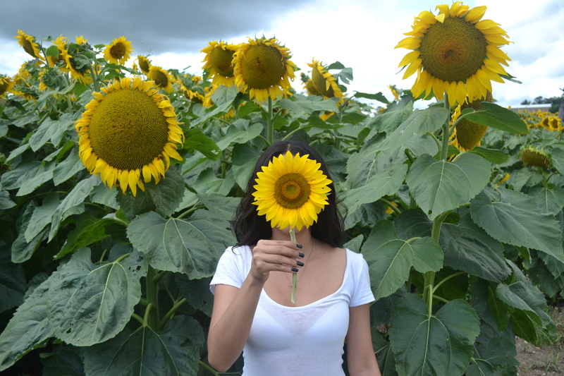 cloud, flower, tattooed woman, fall, obscured face, sunflower, spring, plant, real people, vulnerability, pollen, outdoors, beauty in nature, leaf, yellow