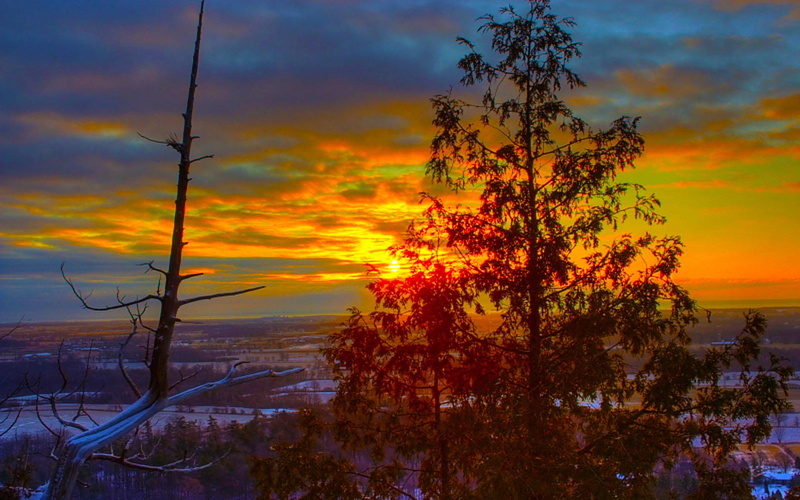 land, fields, tree, sunset, 1080P, 3d and abstract, speechless