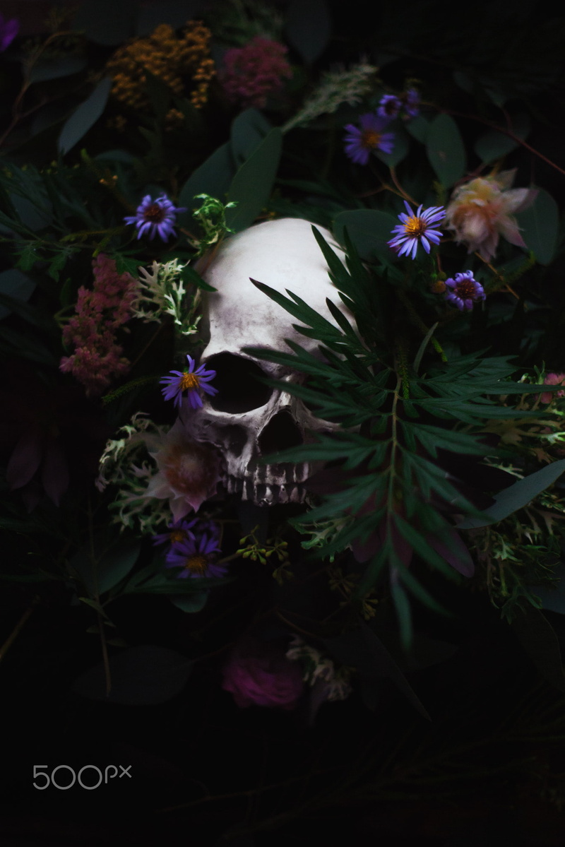 skull, plants, flowers, Artem Phoenix, 1080P, 500px