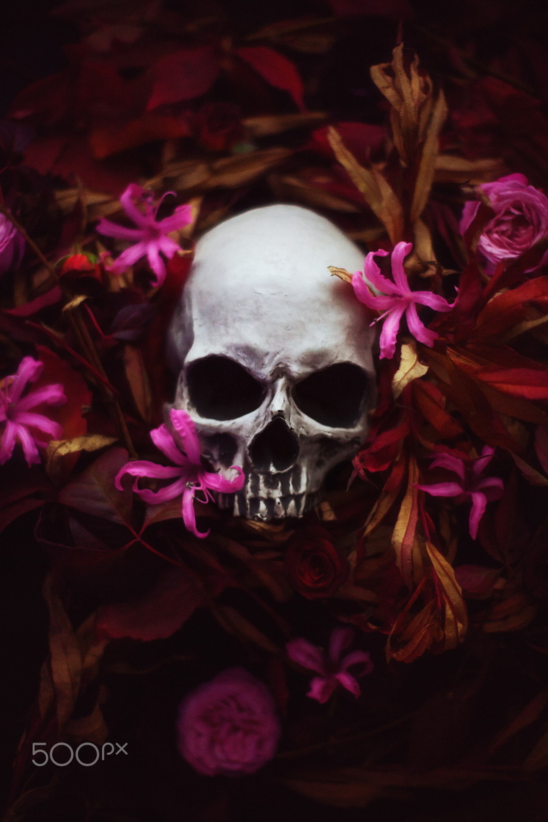 flowers, 500px, Artem Phoenix, skull, 1080P, plants