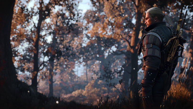 The Witcher 3: Wild Hunt – Hearts of Stone, PC gaming, The Witcher 3: Wild Hunt, Nvidia super sampling, 4K, Nvidia Ansel