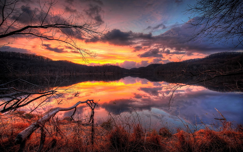 tranquility, Grass, no people, Decline, tree, Lake, plant, Orange, idyllic, Faded, beauty in nature, cloud - sky, Branch, reflection, Evening, outdoors